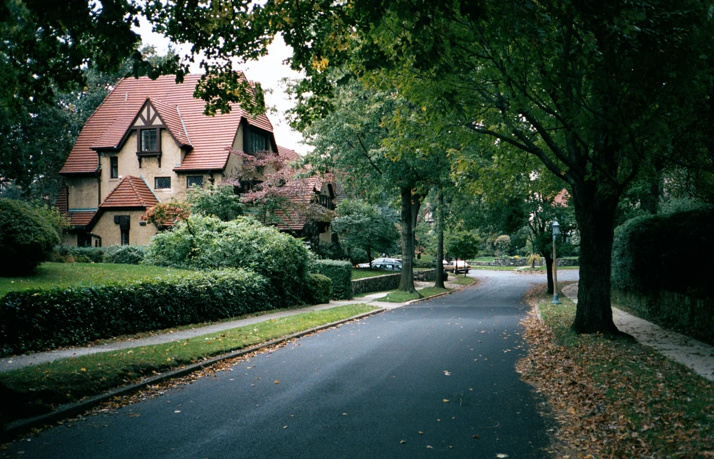 Tudor-style homes and mature trees in Forest Hills Gardens